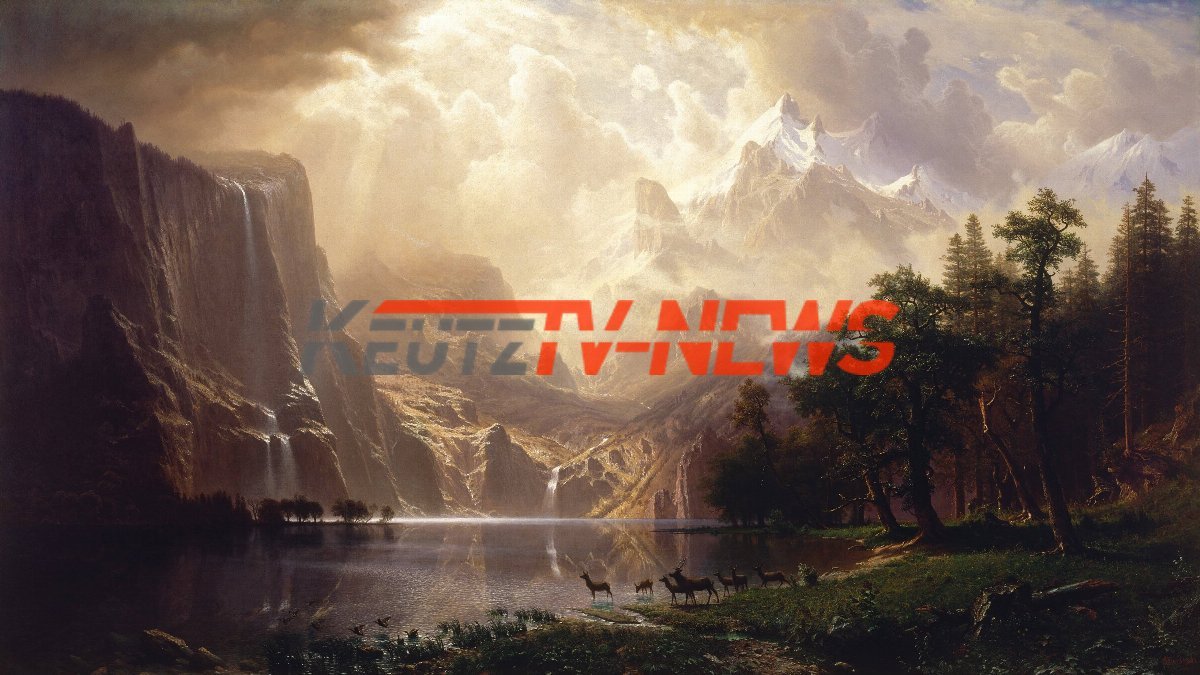 INFOUPDATE: 6 Verletzte nach Unfall zwischen Bus und Straßenbahn